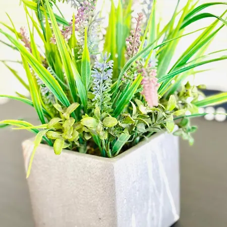 Gourmet Com Quintal Apartmán Albufeira